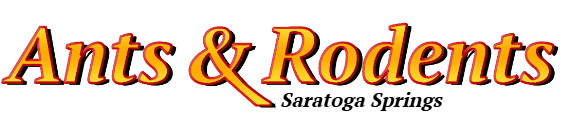 Saratoga Springs Ant Exterminator & Rodent Control Company Logo